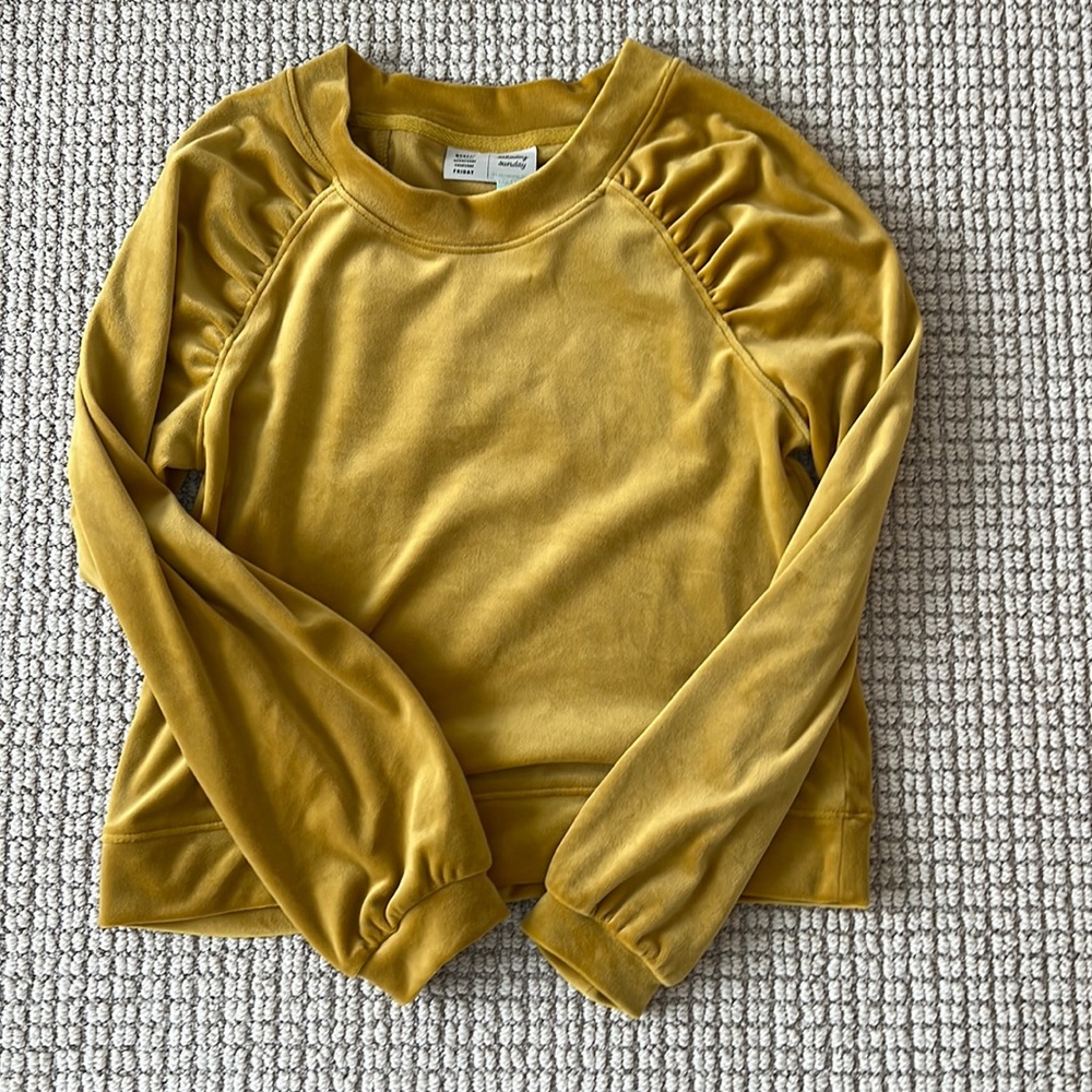 Anthropology top